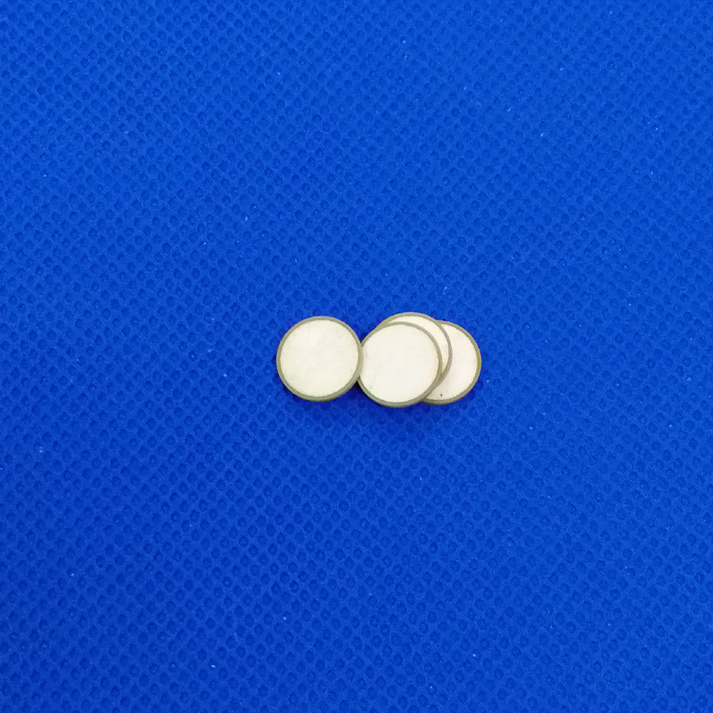 Piezokeramikscheibe 10x1mm-PZT5X-195KHz Piezo Kristall Festplatten PZT Kristalle Sensor PZT Vibration Chips PZT Kristalle Elemente