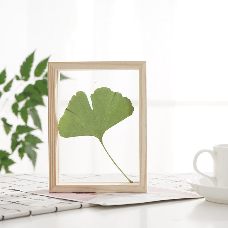 Wooden Double-sided Glass Plant Specimen Photo Frame Log Color Photo Frame Transparent Wooden Photo Frame