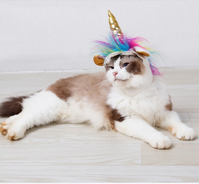 Lemmikkikissa yksisarvinen päähineet hattu halloween cosplay kissa koira lemmikki asusteet kissanpentu pentu lippalakki lemmikki juhla syntymäpäivä