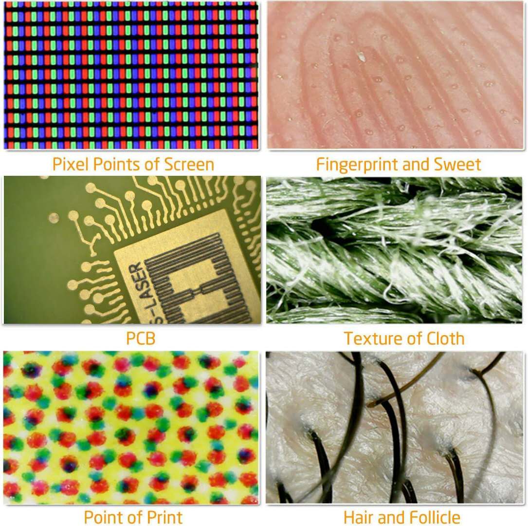 1000X 3 in 1 USB 8LED Microscope Handheld Portable Digital Microscope Magnifier Electronic Stereo Endoscope Camera