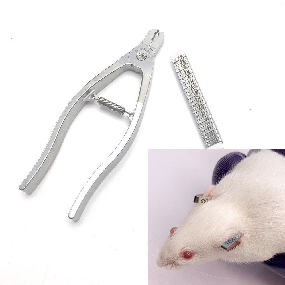 1Stck Neue Ratte Mäbenutzen Hamster Maus Ohr Schild Zange 304 Edelstahl Labor Werkzeuge Identifikation Klemme Mit Anzahl knapp zange
