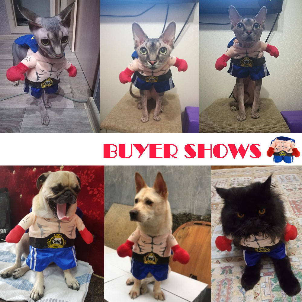 Sjov halloween kæledyr kat hund boxer stående kostume cosplay tøj til små mellemstore hunde hvalpe fest jakke frakke tøj