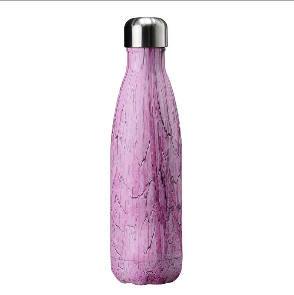 Hoge 500Mlwater Fles Verkleurd Rvs Drinkwaren Tour Outdoor Sport Lekvrije Afdichting Klimmen Water Fles: D