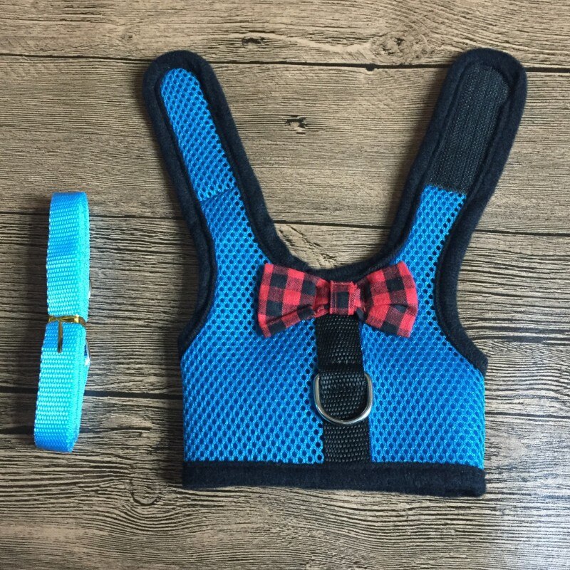 Arnés de cuero de conejo para hámster y conejillo de indias, accesorios de , Collar de conejo, de cuero, para huret, Totoro
