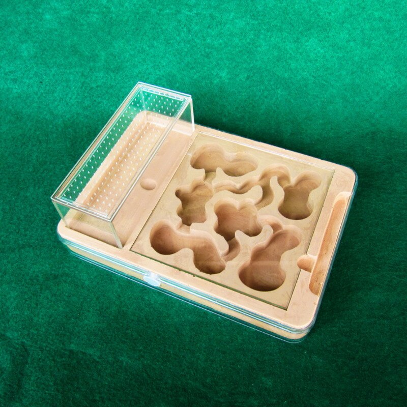 Acrylic Ants Farm Ant Formicarium Box Acrylic Plaster Combo Ant Colony Nest Small Pet Cages HW238: B Size