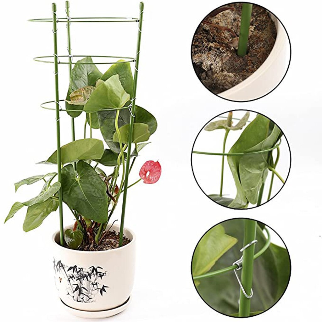Plant Support Ring Adjustable Plants Trellises Garden Basket Plant Fixed Climbing Plant Support Ring Clips For Plants Grafting