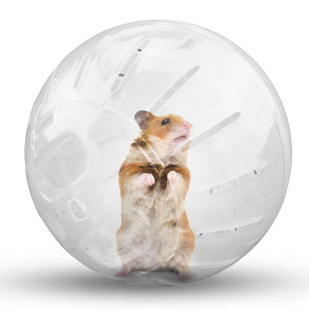 Hamster ball leker 10/12cm antistress kjæledyr trening jogging løpeballer for små kjæledyr chinchilla gnager rotte mus produkter