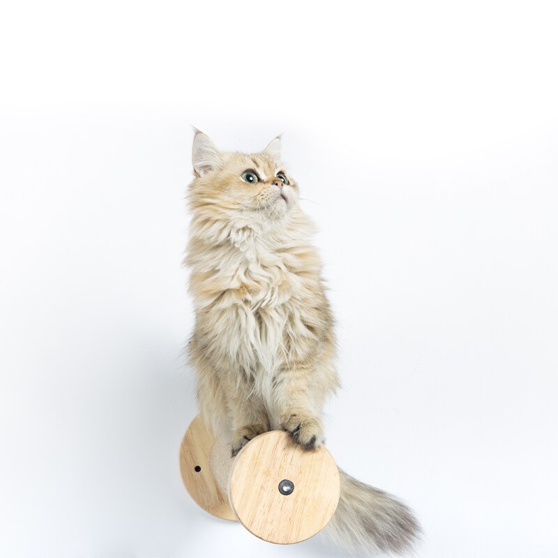 Cat Sisal Rope Scratching Post Scratcher House Tower Tree Climbing Wall Claw Sharpener Kitten Accessories Toys Furniture
