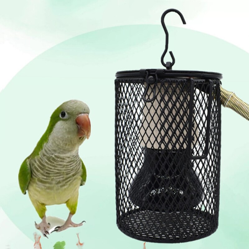 Chauffage hiver Reptile lampe chauffante animal Coop Kit chauffant perroquet lampe chauffante éclairage polyvalent tortue emetteur de chaleur lézard Repti