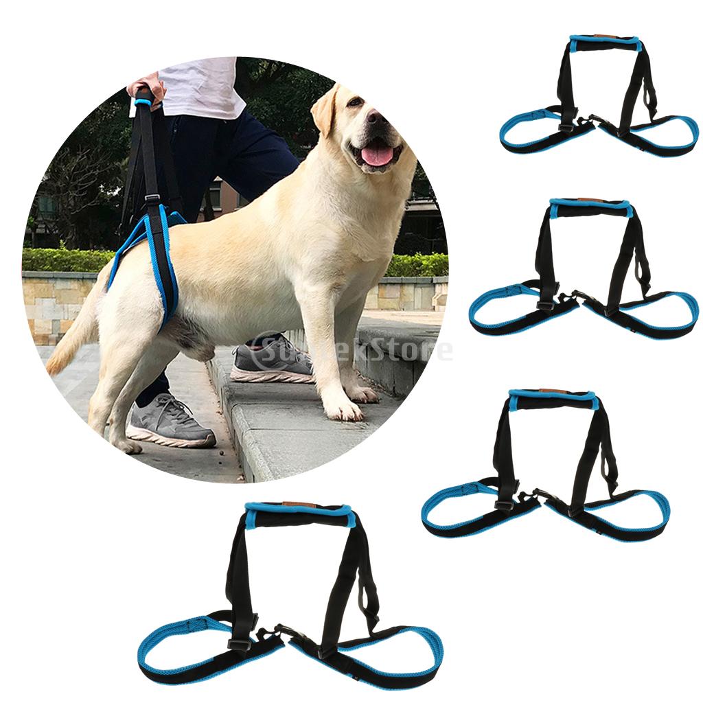 Harnais de levage de ceinture auxiliaire | Pour chien de compagnie, pattes arrière, harnais de soutien à la mobilité avec écharpe d'aide pour chiens blessés âgés