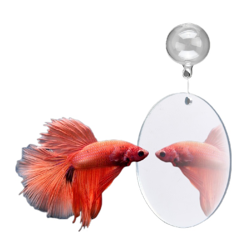 Vastocean Betta Training Mirror Fish Tank Exercise Anti-depression Betta Fish Special Fitness Mirror for Live Fish
