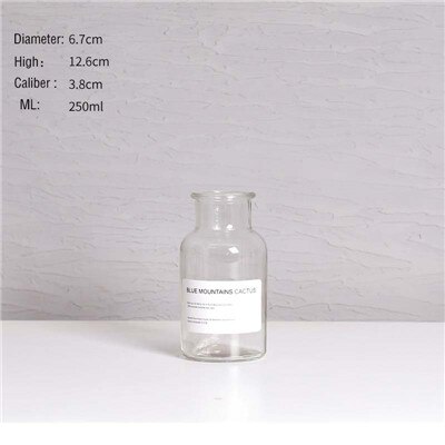 Europäischen Transparent Blume Vasen Pflanzen Halter Nordic Glas Vase Hause Dekoration Ornamente Hydrokultur Schreibtisch Blumentöpfe Handwerk: H