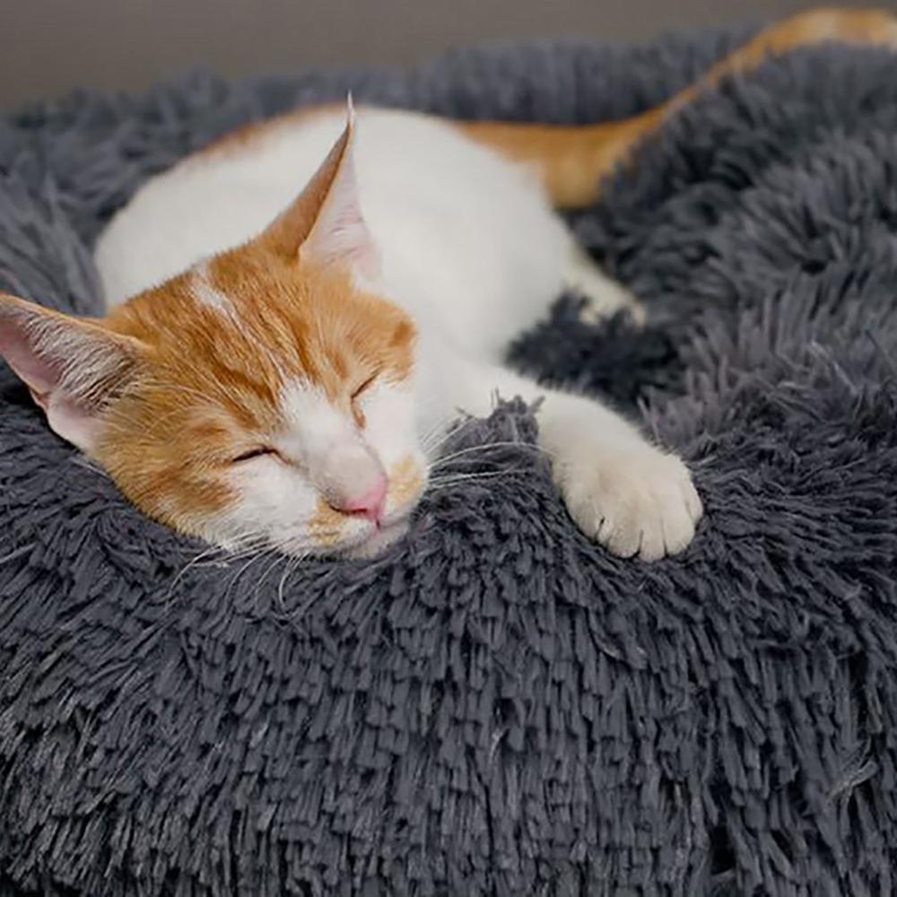 Pet Dog Bed Basket Dogs Beds For Large Bench Mat Chihuahua Kennel For Pet Supplies Sofa Dog House For Cat Big Cushion