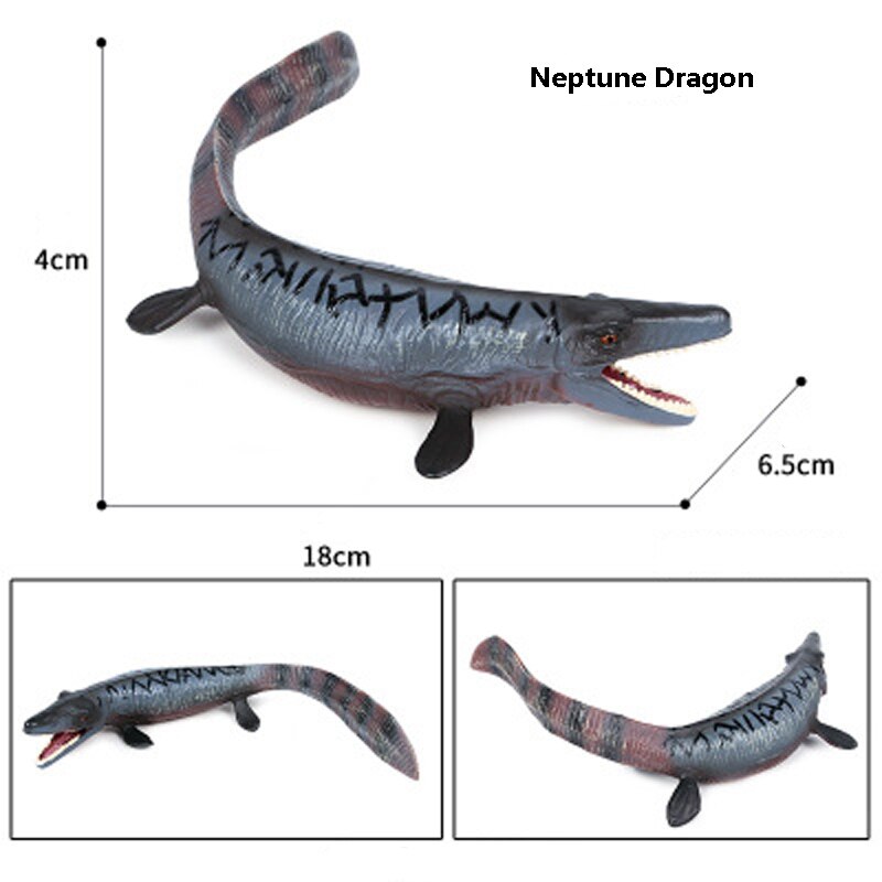 Large single Educational toys Prehistoric marine model marine dinosaur Deng&#39;s fish plesiosaur animal model toys: 9