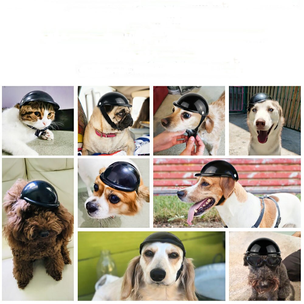 Funny Fashionable Pet Puppy Cat Hat Helmets Cool Outdoor Caps with different size