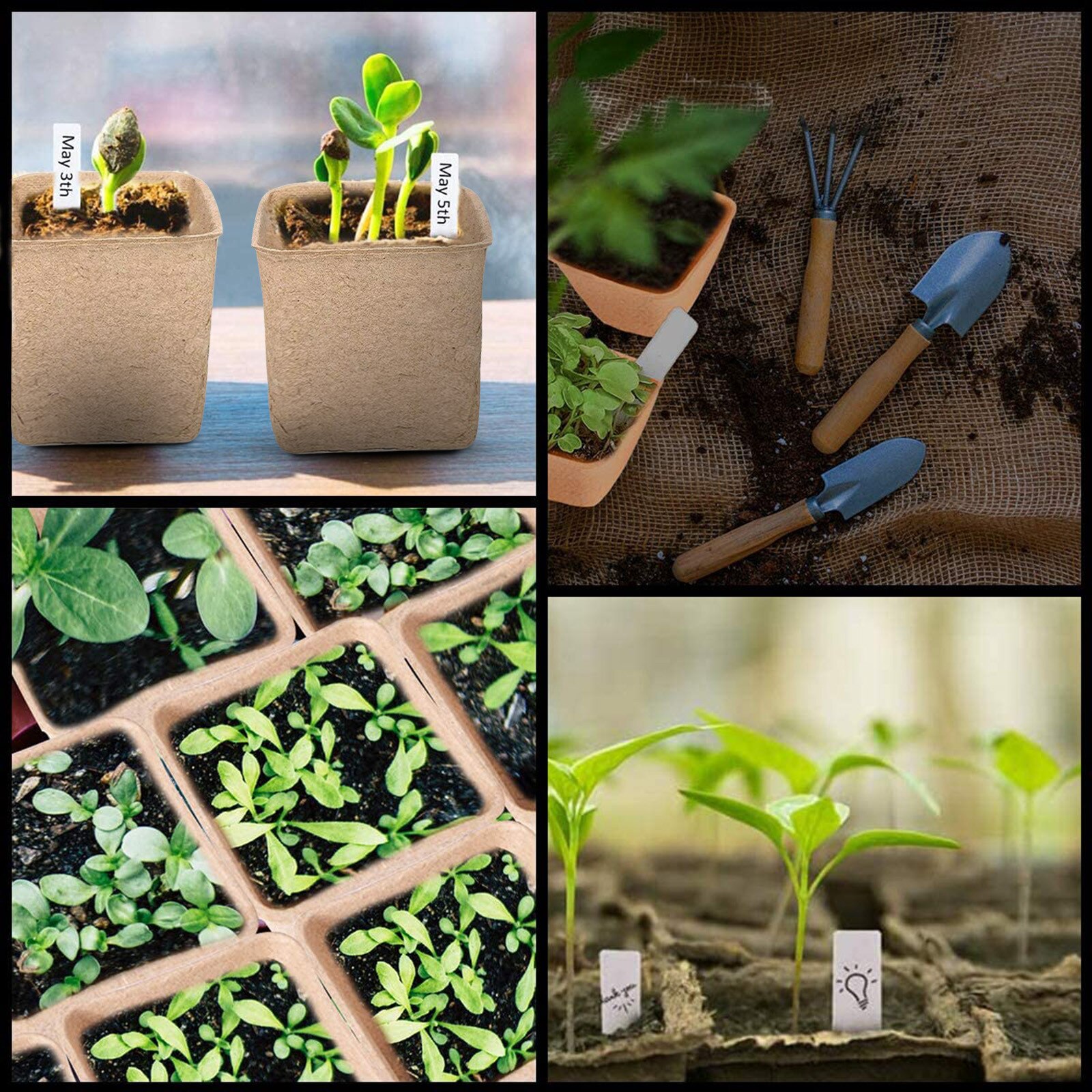 40pcs 8cm Paper grow Pot Plant Starters Herb vegs flower planter Nursery Cup Kit Biodegradable Home gardening tools cultivation