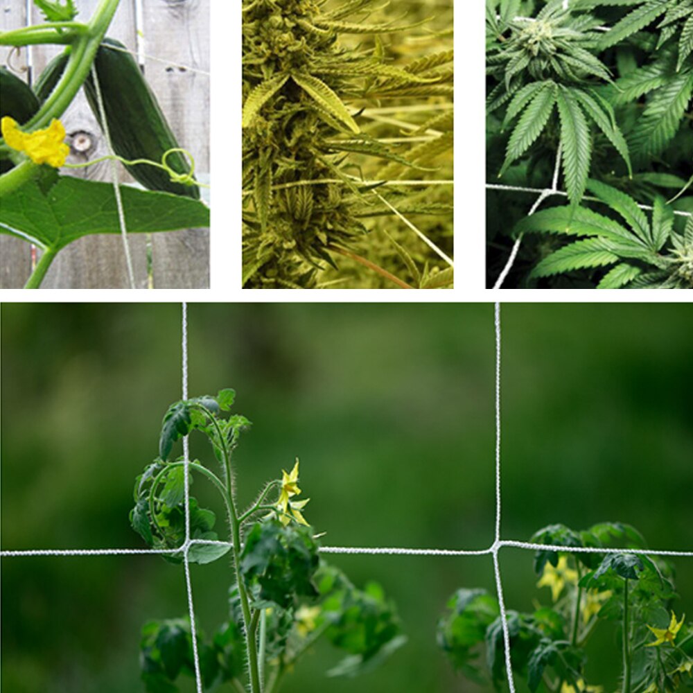 netting polyester nett loofah netting til morgen ære vintreet blomster hageplanter klatrenett agurk vinranke vokseholder