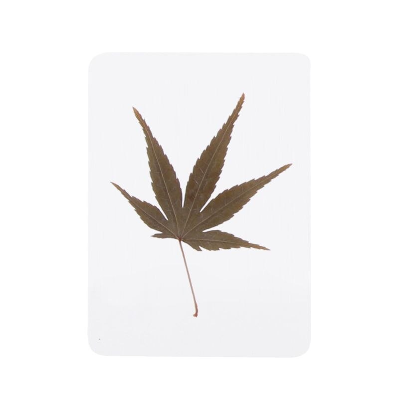 mischen Gedrückt Blume Blätter Pflanze Sonde Füllstoffe für Epoxid Harz Schmuck Machen