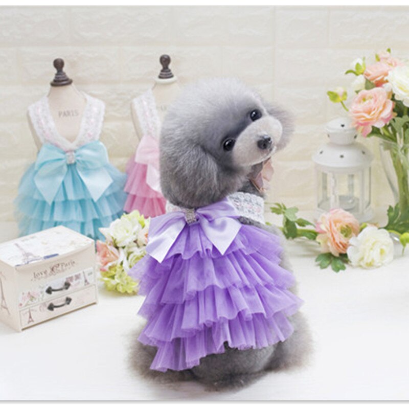 Vêtements pour animaux de compagnie de luxe pour petit chien robe princesse mariage Tutu robe nœud printemps été chien vêtements