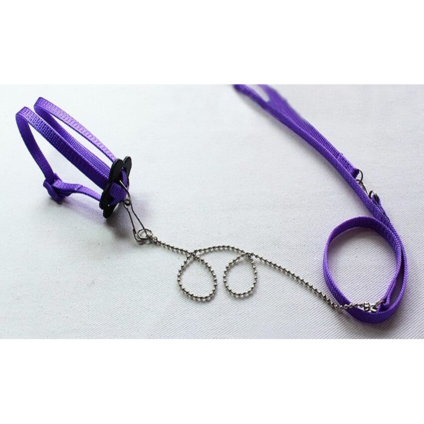 Arnés de pájaro para loro ajustable de 1,2 M, Correa Multicolor ligera suave de: Purple