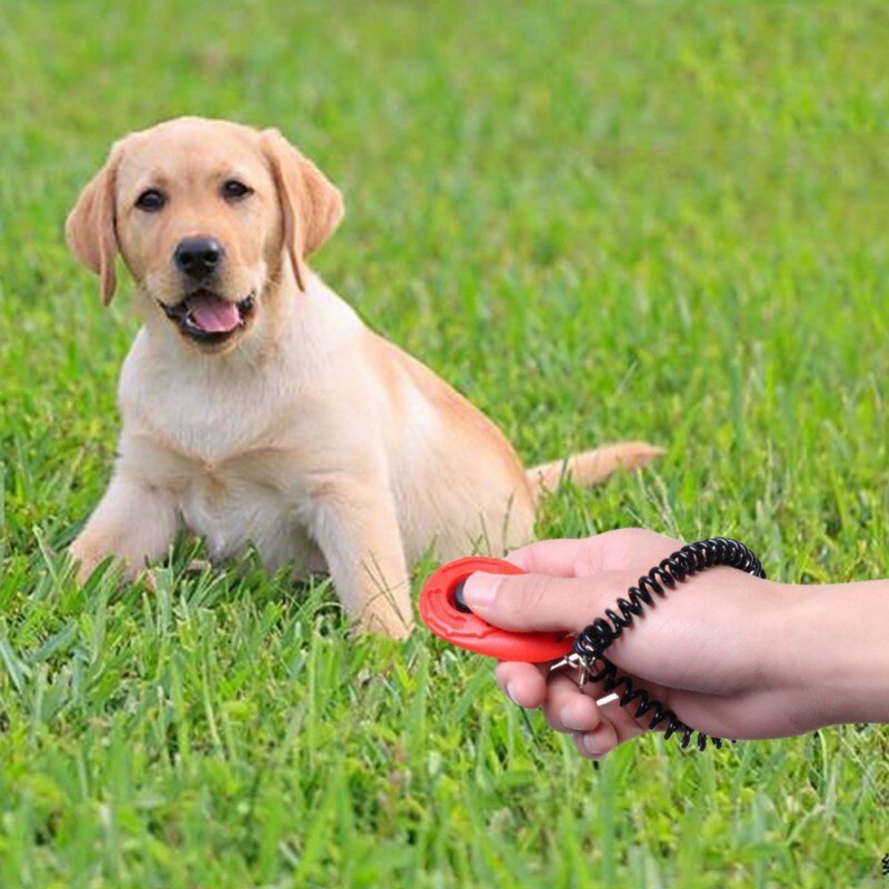 Dog Training Clicker Met Polsband-Pet Training Clicker Set Huisdier Ellipse Clicker Training Tool Voor Honden Vier Kleuren