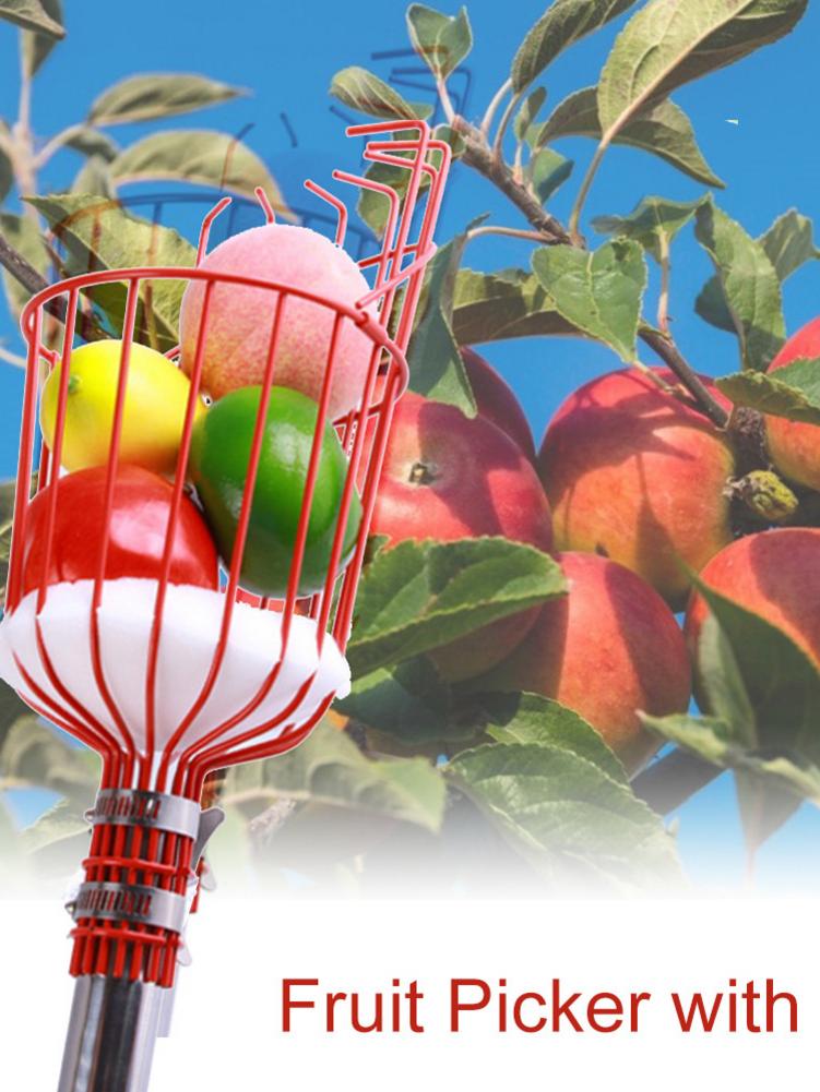 Adjustable Fruit Picker Orchard Gardening Apple Peach High Tree Picking Tools Durable Fruit Catcher Collector Gardening Tools