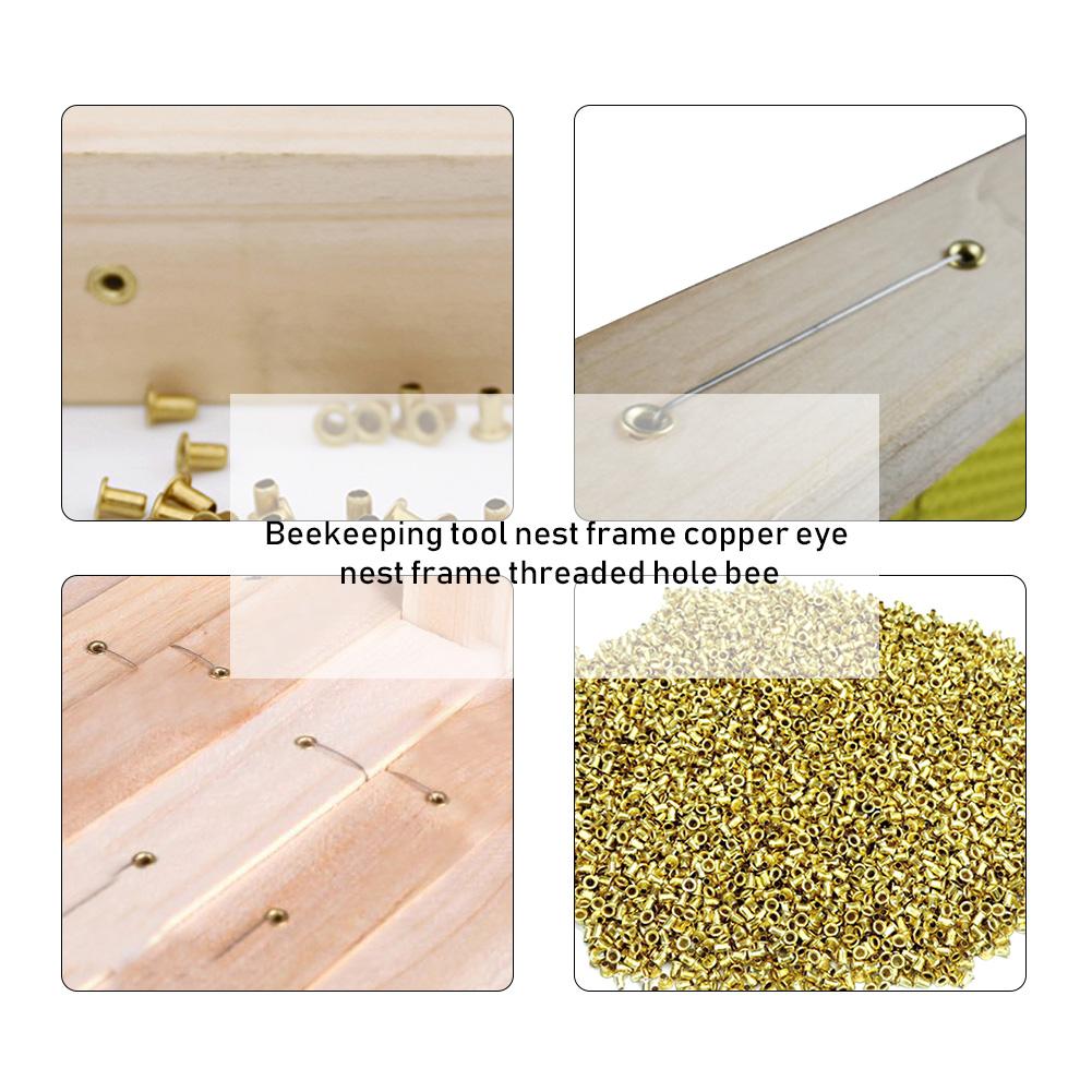 1400Pcs Bijenkorf Bijenkorf Messing Nest Frame Oogjes Imkers Bijenteelt Gereedschappen Koperen Ogen Beschermen Nest Doos Nest Foudation