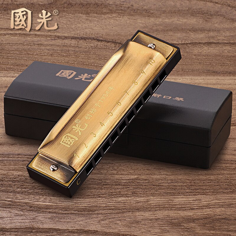 Zestaw harmonijka dla dzieci 10 otworów blues mistrz unikalna melodia harmonijka Diy harmoniczne instrumenty Acordeon instrumenty ludowe BD50HH