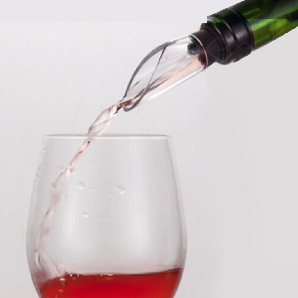 Refroidisseur à vin en acier inoxydable | Avec verseur à vin, bâton de glace, refroidissement des boissons, bâton de glace glacé, outil de Bar
