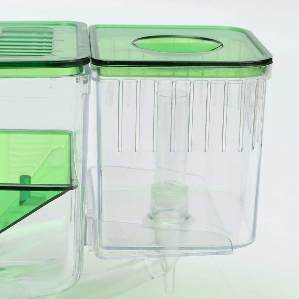 Isolation Box Baby Fish Breeding Accessories Safe ... – Grandado