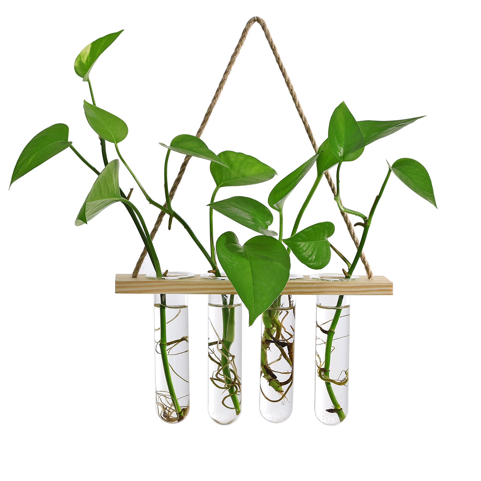 Glass Hanging Planter Terrarium Plants Wood Hanger Test Tube Vase Natural