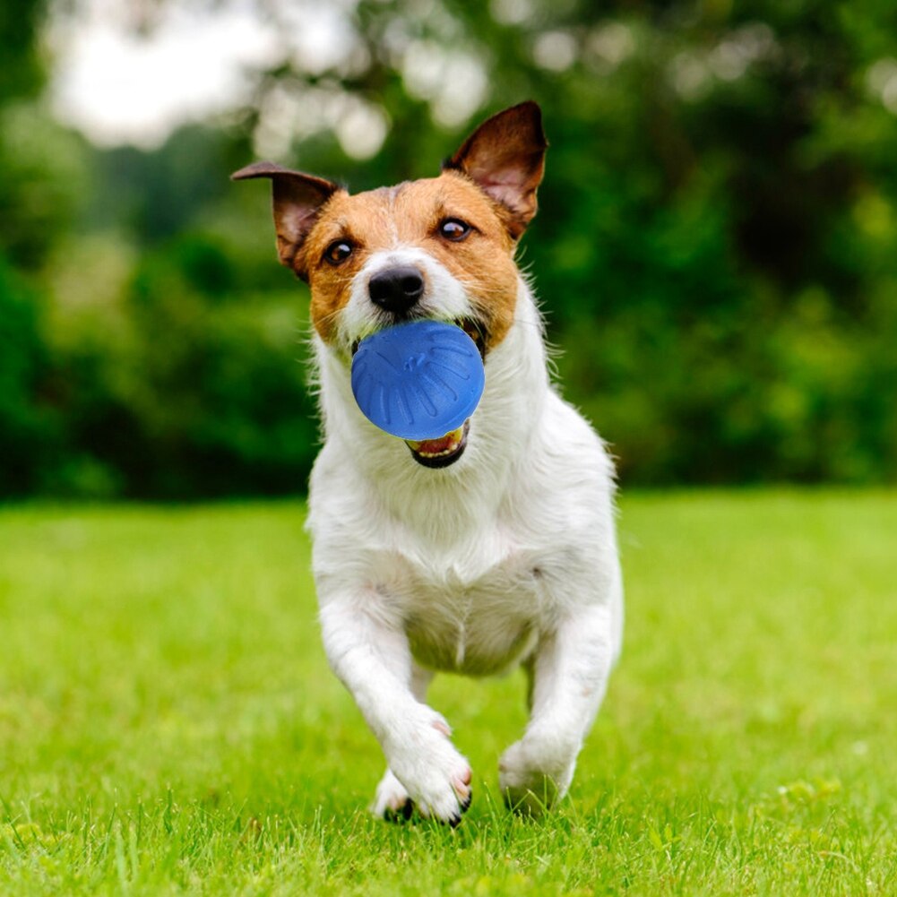 Pelota de goma EVA para perros resistente a mordeduras, juguetes para morder para mascotas, pelotas juguetes para perros, 1 Uds.