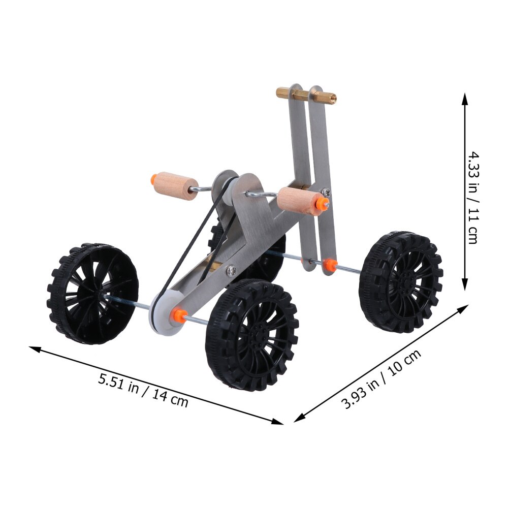 Vogel Intelligenz Ausbildung Papagei Fahrrad Pädagogisches Vogel Fuß Kralle