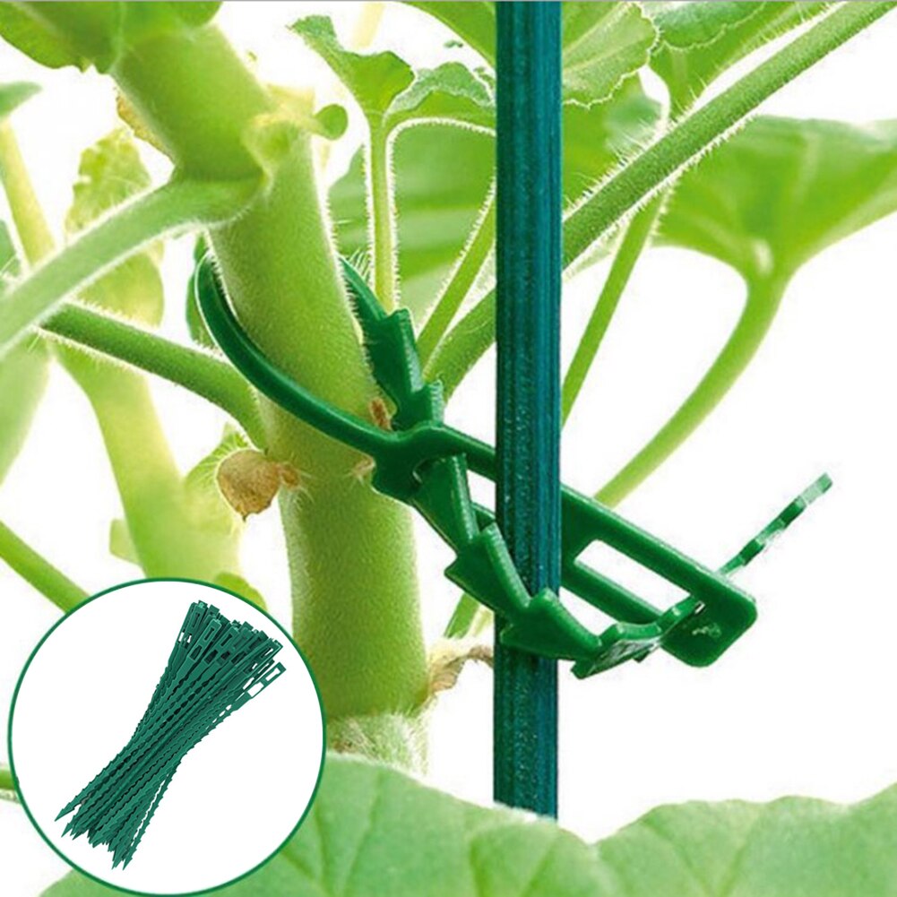 12/50Pcs Garden Cable Ties Plant Support Shrubs Fastener Tree Locking Adjustable Plastic Cable Ties Tools