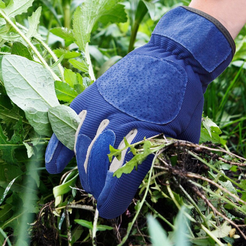 Lange Gartenarbeit Handschuhe Rose Rebschnitt Dorn...  Grandado