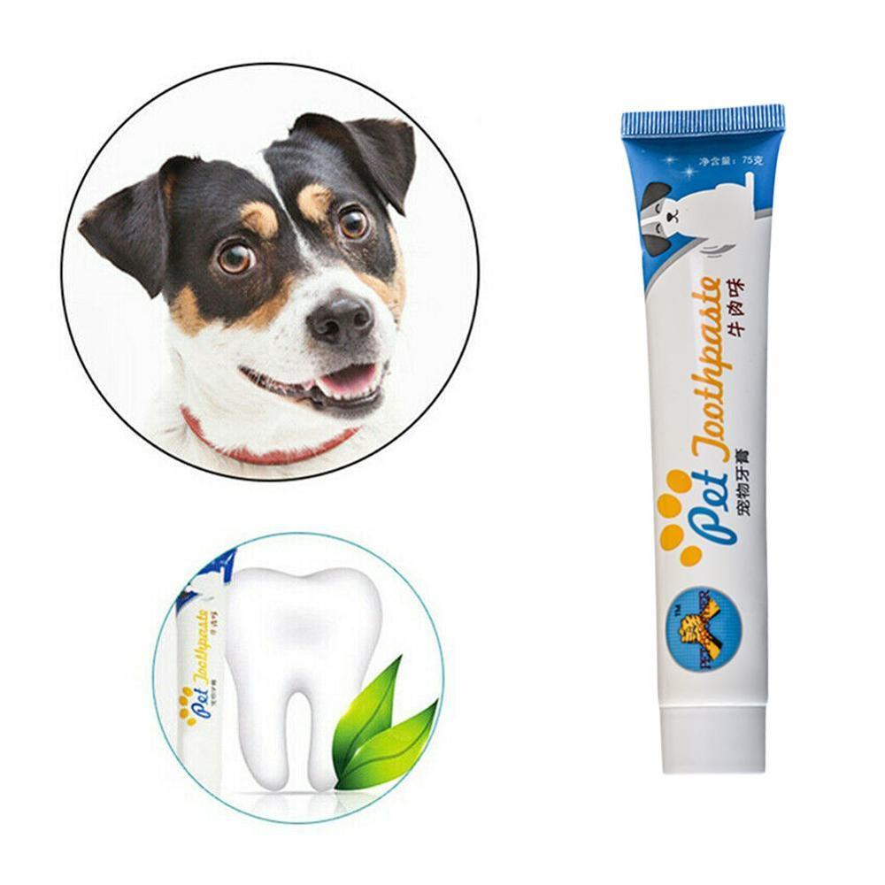 Dentifrice comestible pour chien et chat, accessoire de nettoyage et goût vanille de bœuf et animaux domestiques, 2 accessoires et dents, V4Q2