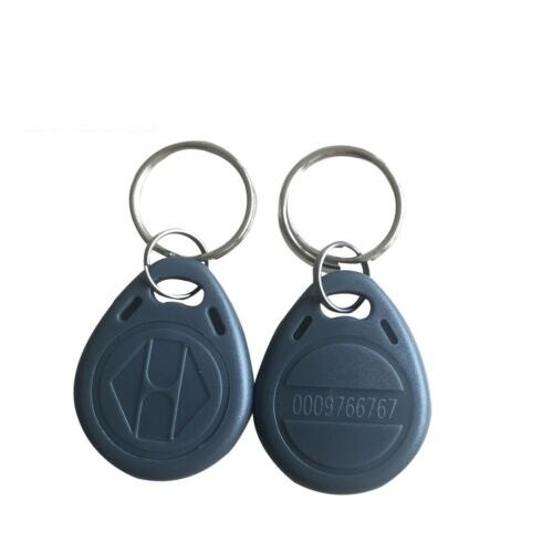 Keyfob smart ID Card Read only RFID Tag Proximity 125Khz Key fobs Ring Access Control Card Red Blue -10pcs: Gray