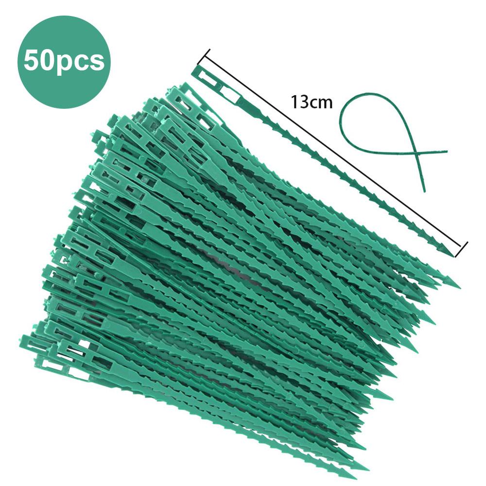 50/30 pièces arête de poisson éperon vert paysage réutilisable jardin plastique plante ceinture cravates cravate jardin arête de poisson bande outils
