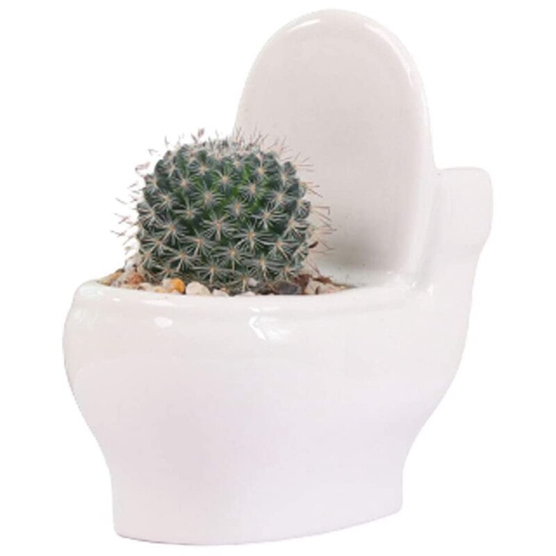 Ceramic Toilet Flower Pot/Bonsai Potted Plant/Flower Pot/Succulent Plant Flower Pot White