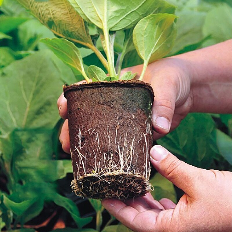 10/17 Pcs Rganic Biodegradable Paper Pots Plant Starters Seedling Herb Seed Nursery Cup Kit Eco-Friendly Home Cultivation