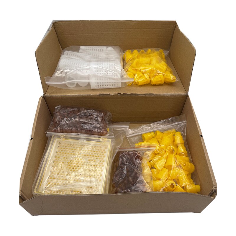 Jenter – Kit d'élevage de reine, système d'élevage de fausses abeilles, Cage mobile, outil pour apiculteur, fournitures: GRIS FONCÉ