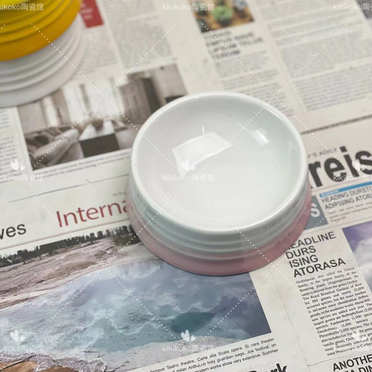 Bol d'eau en céramique française pour chat, Protection des pieds hauts, calibre Cervical, 5 pouces, eau potable, couleur Macaron de haute beauté: Rose