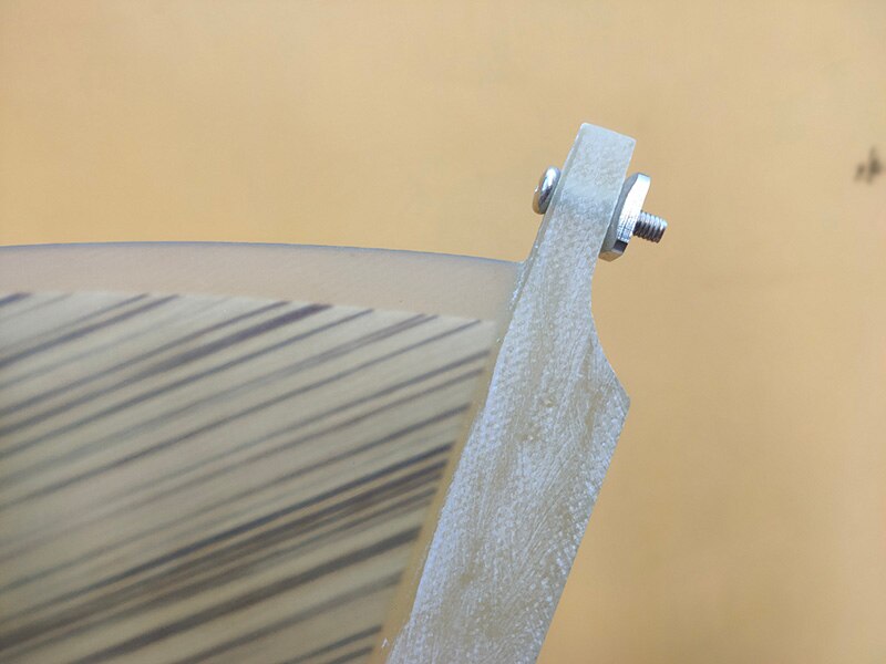 Aileron Longboard-palmes de placage de bois de 10 pouces