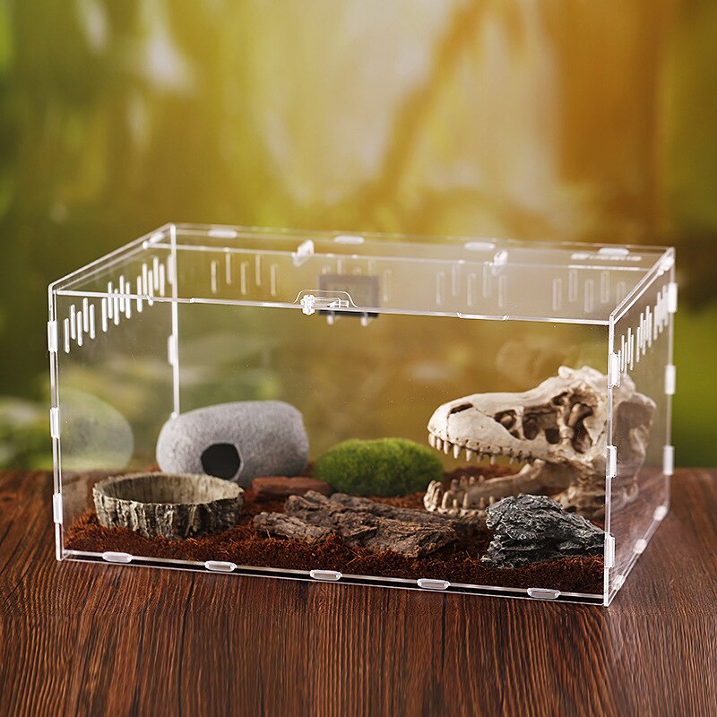 Reptiel Fokkerij Doos Acryl Spider Hagedis Schorpioen Enti &#39;S Acryl Gemonteerd Transparante Insect Ademend Terrarium