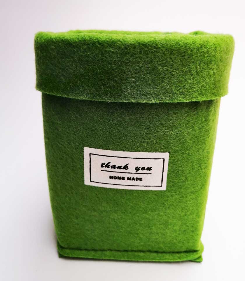 Pot de fleur moderne bébé Groot Pot de fleur stylo Pot jardin blanc plante pot en bois tissu intérieur jardinière succulente Pot bureau: green