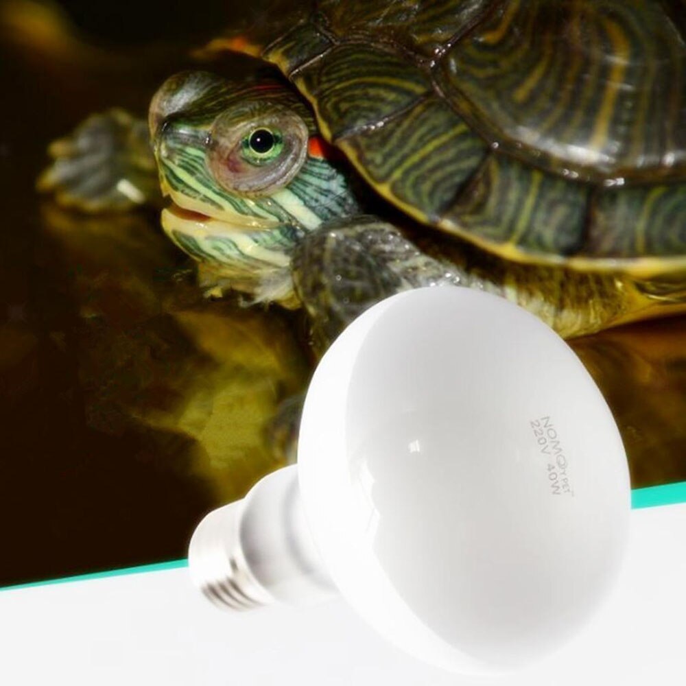 Ampoule chauffante 75/100W pour animal de compagnie, lumière UV jour et nuit, Reptile E27, lézard, tortue amphibie, serpent: 75W