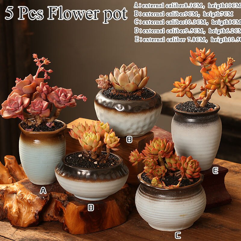 Urtepotter sukkulent kaktus potter plante have keramisk plantekasse 5 stk potter udendørs have boligindretning vindueskarm: Default Title