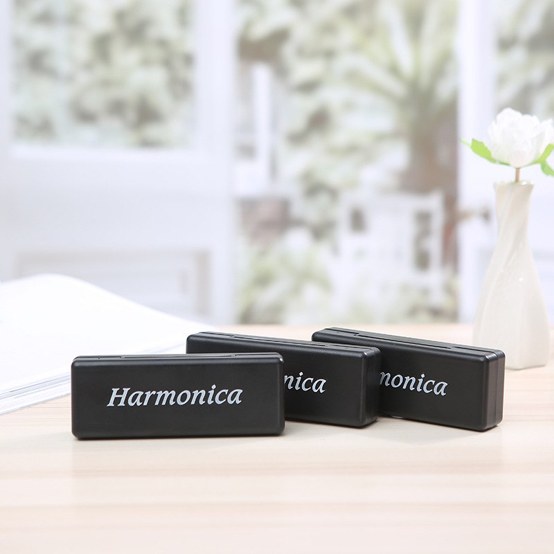 10 Holes Blues Harmonica Musical Instrument Stainless Steel Mouth Organ for Children