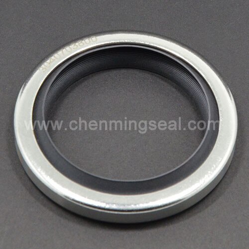 20*40*10 mm Separate Media Lip PTFE Oil Seals Rotary Shaft Seals With Dual Lip Stainless Steel Housing For Compressors Mixers