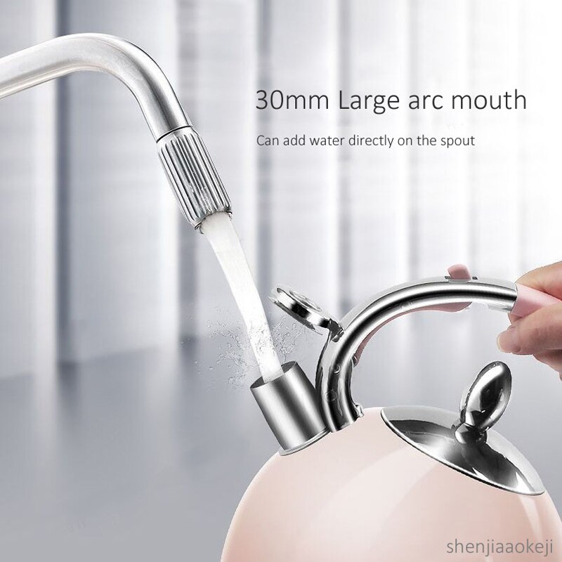 2L 304 Edelstahl Wasserkocher Automatische Energie-aus Elektrische Wasserkocher Tee wasserkocher Bunte Heimgebrauch wasser behälter Tee Service topf